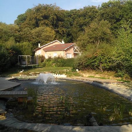 לינה וארוחת בוקר Saint-Paul-dʼIzeaux Le Jardin Ombrage מראה חיצוני תמונה