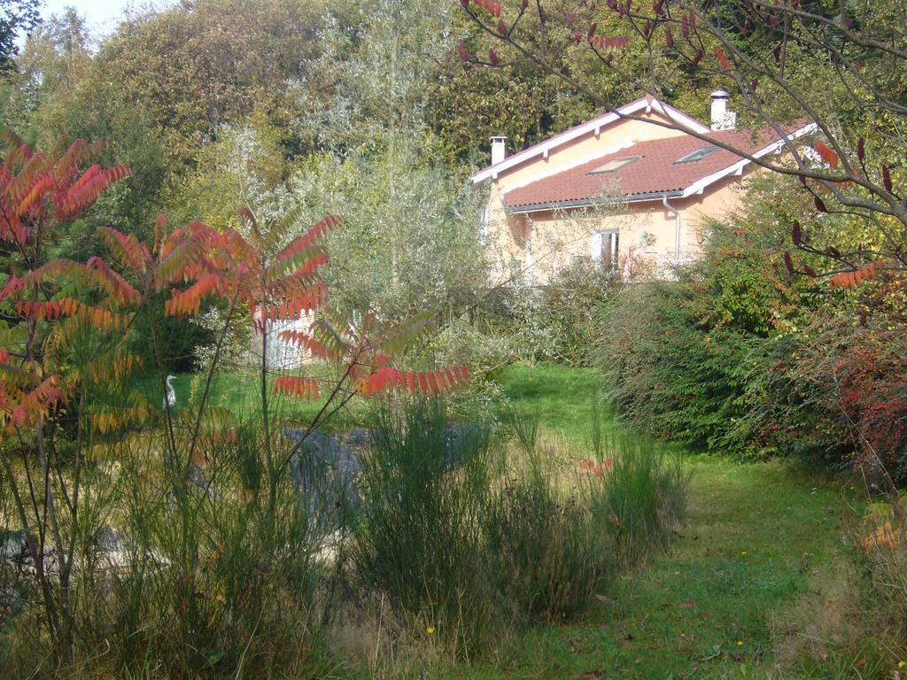 לינה וארוחת בוקר Saint-Paul-dʼIzeaux Le Jardin Ombrage חדר תמונה